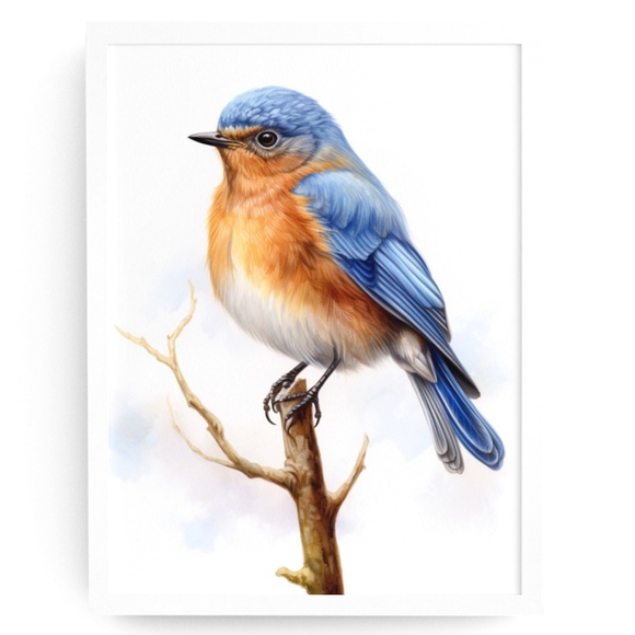 Creative Path Studios Other - Watercolor Eastern Bluebird Wall Art Illustration Print Poster Unframed